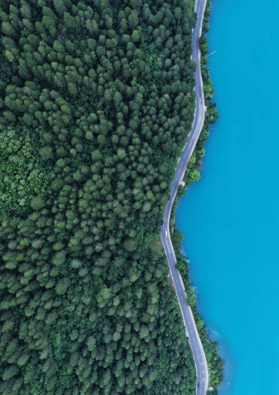 湖畔林道航拍图片