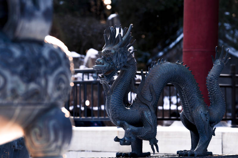 颐和园仁寿殿龙形雕塑静立庭院图片