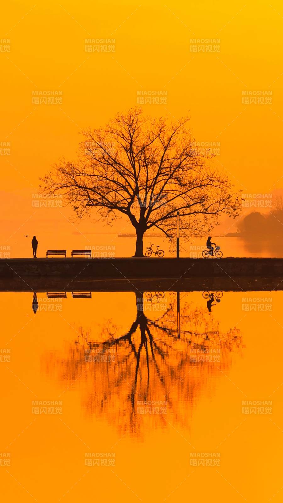 武汉东湖美成了我不敢想象的样子图片