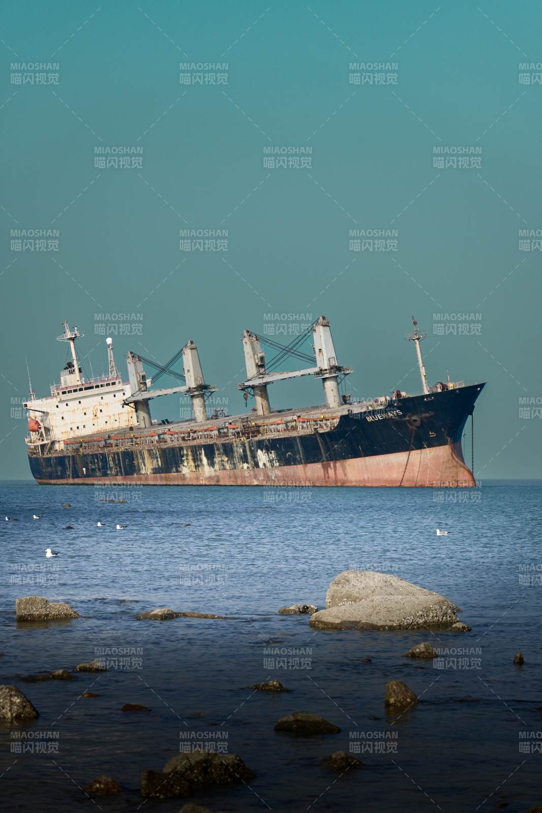 威海布鲁威斯号图片