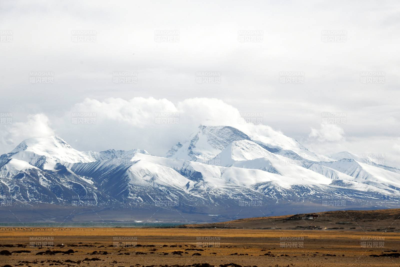 青藏高原 雪山草原风光图片