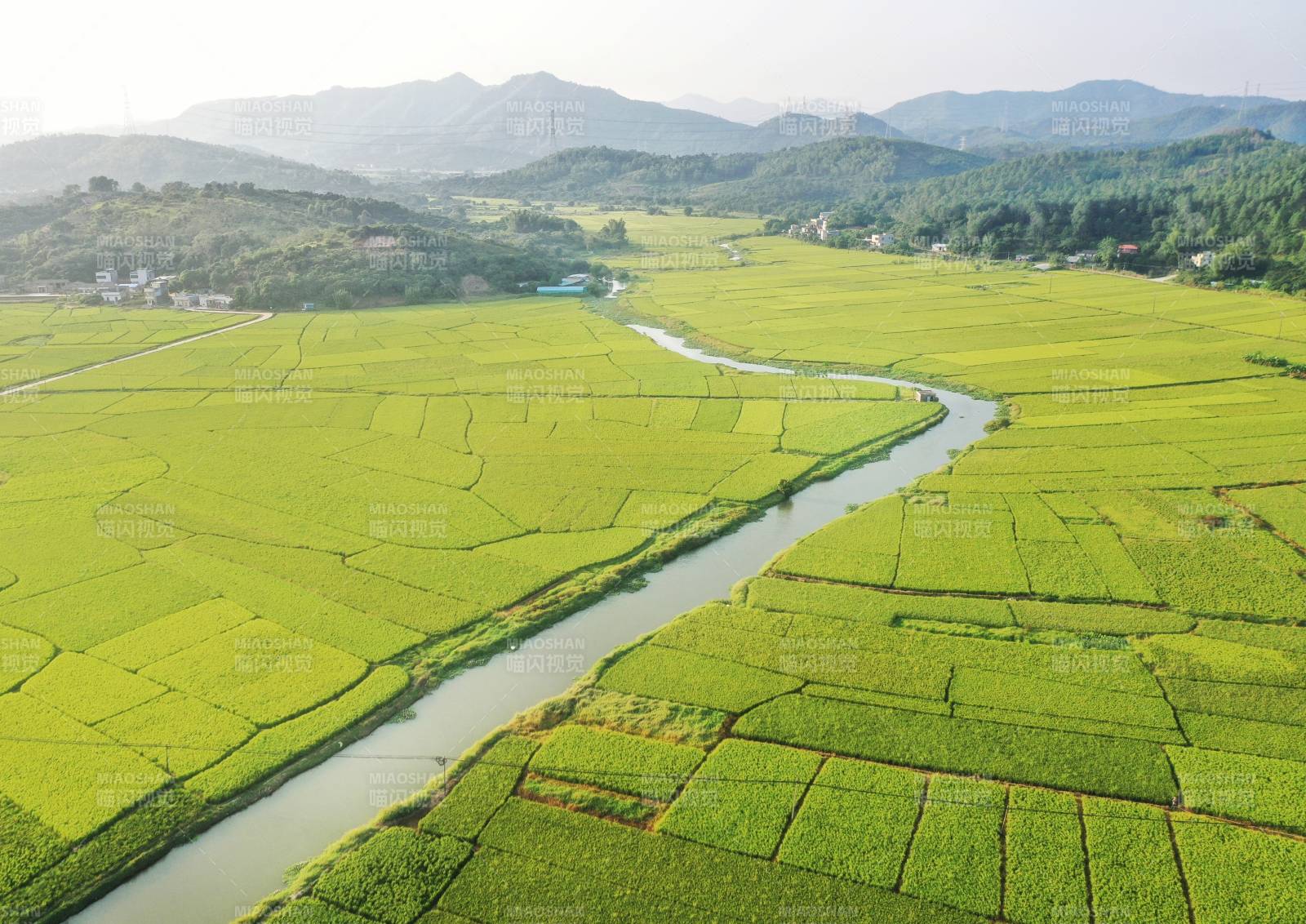 稻田蜿蜒水渠图片