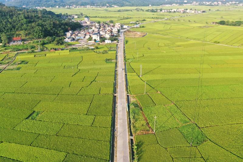 田园公路风光图片