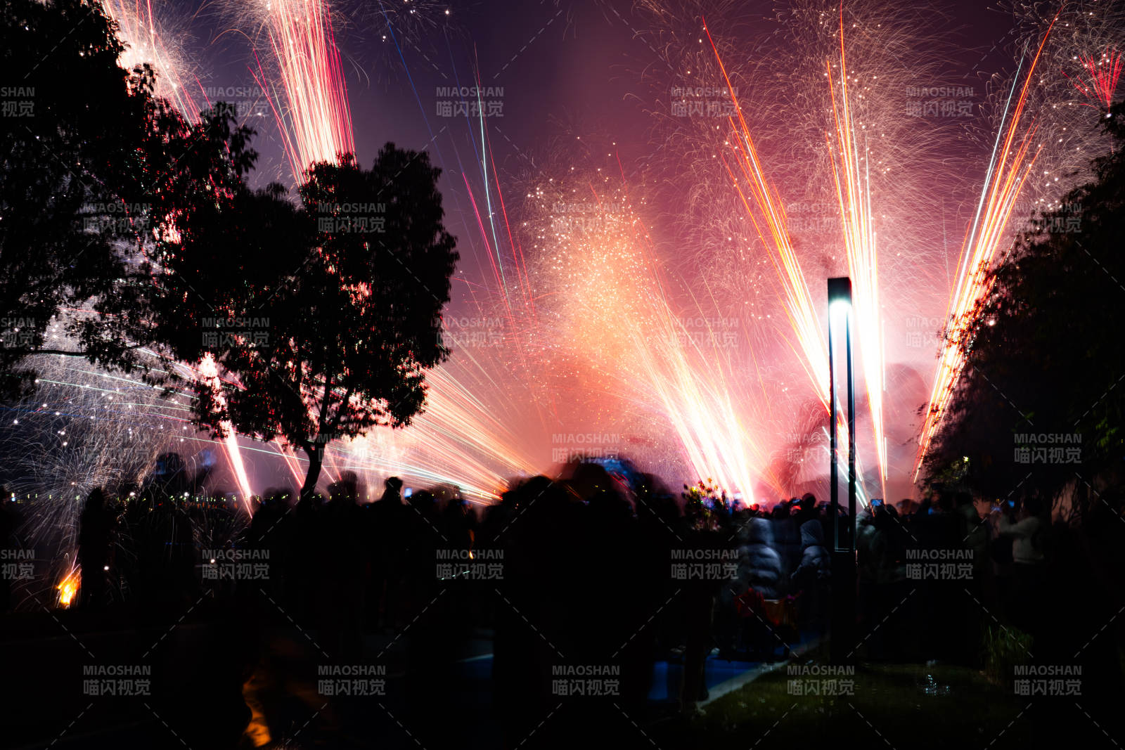 烟花绽放夜景图片
