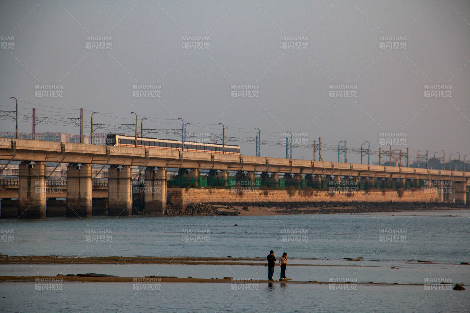 厦门桥上列车 水边行人 海上列车图片