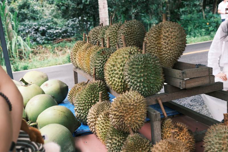 榴莲摊位 新鲜上市图片