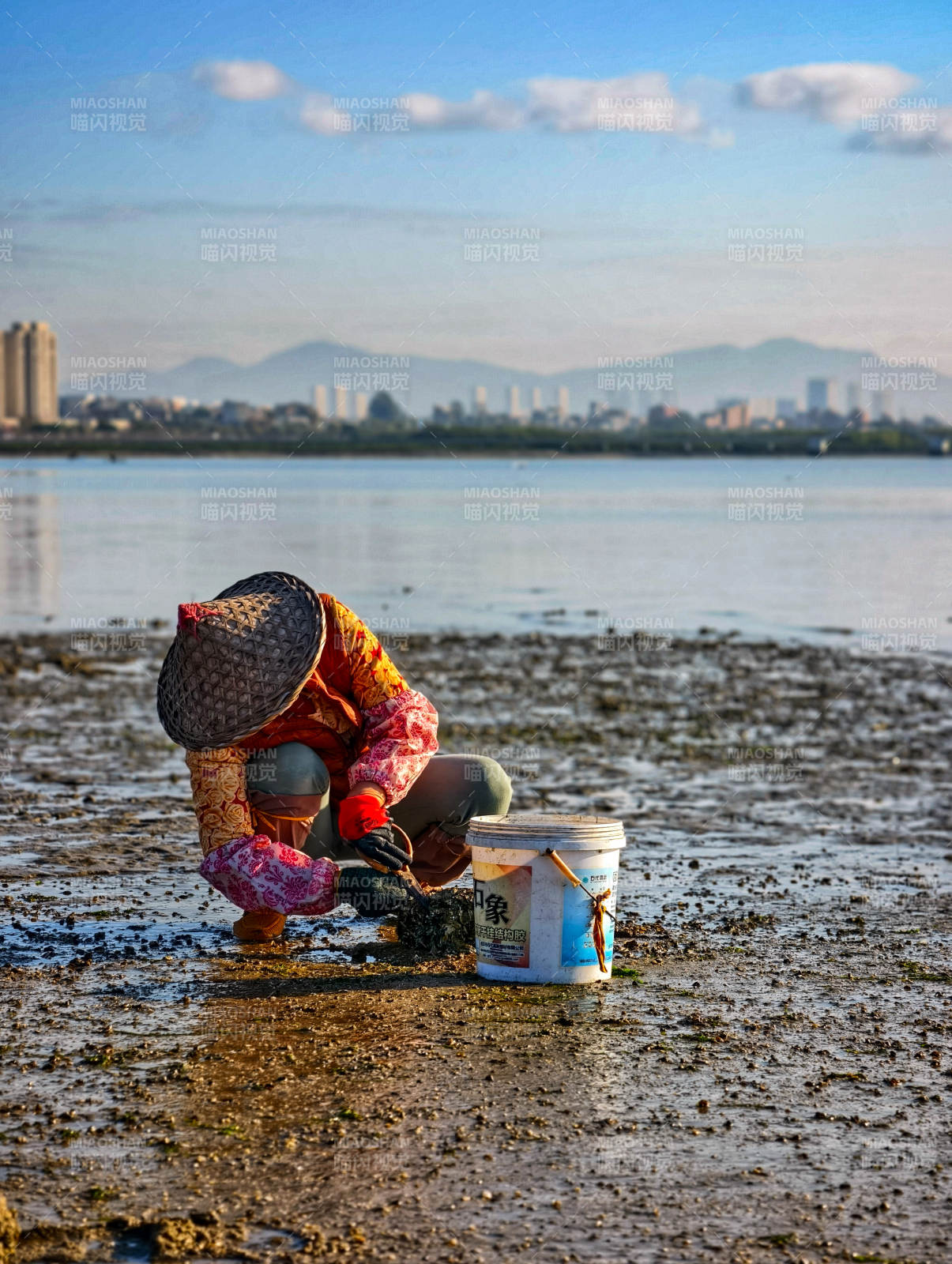 滩涂拾贝人图片