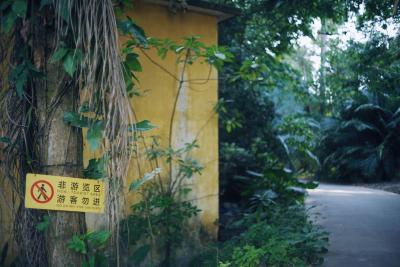 禁入区域 绿意盎然图片