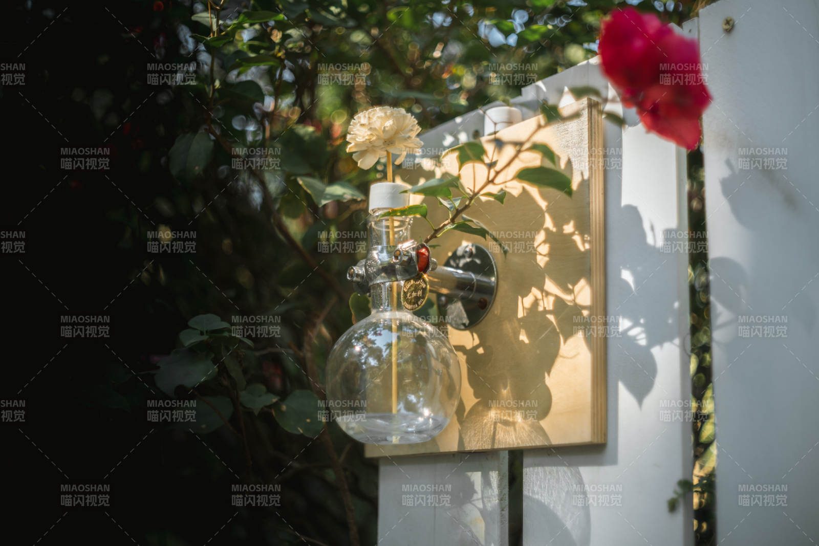 花瓶中的自然光影图片