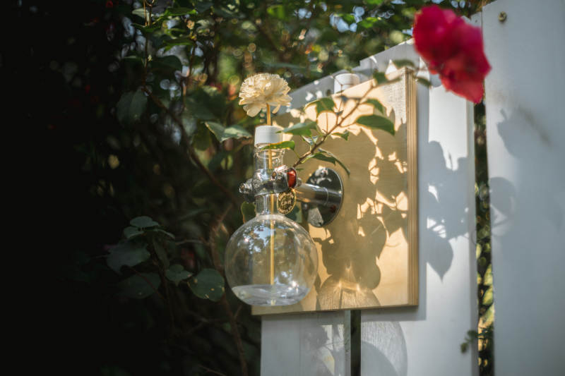 花瓶中的自然光影图片