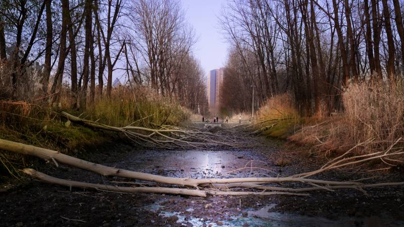 林间小径秋意浓图片