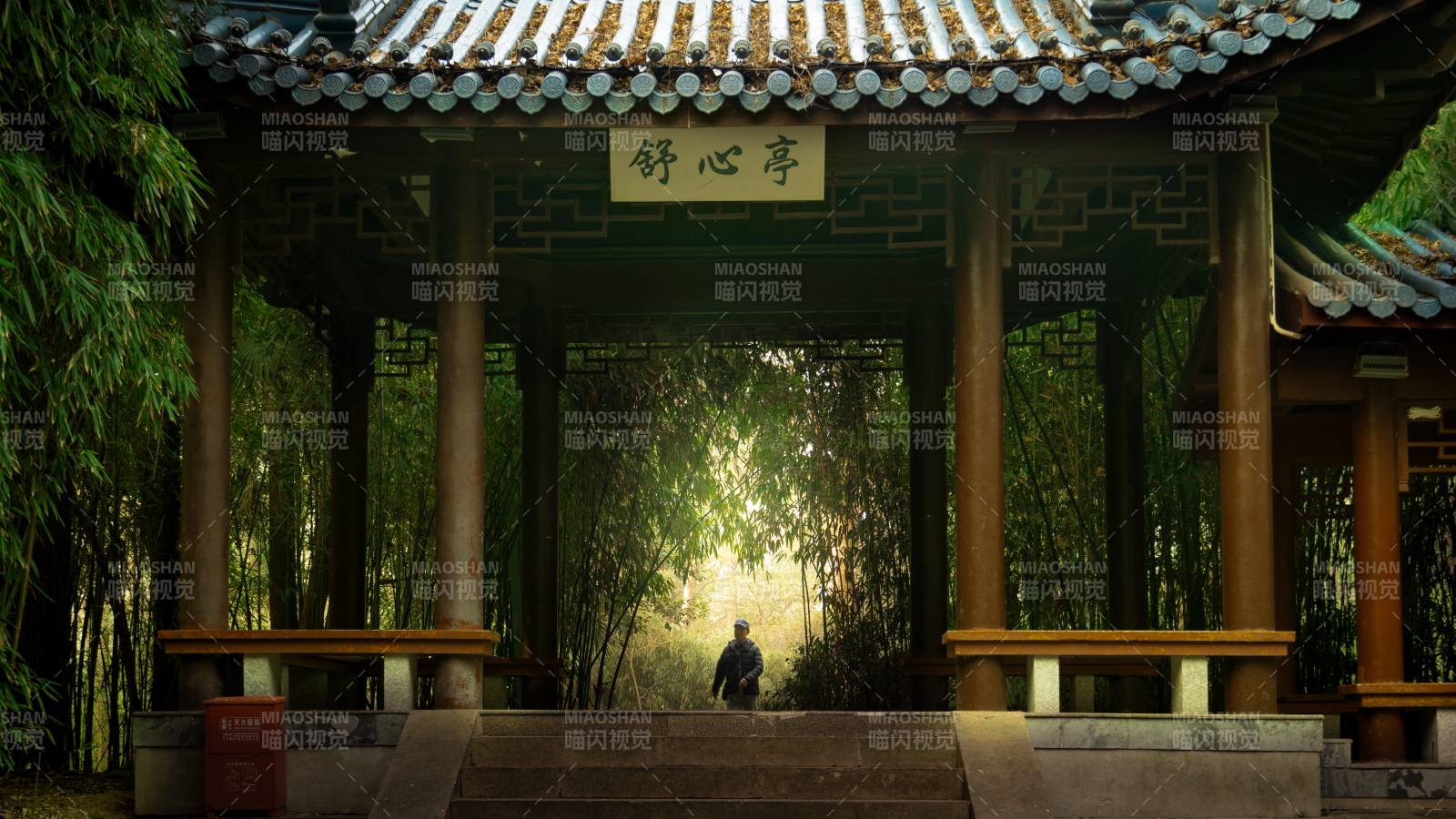 竹林深处亭中人位于芜湖赭山公园图片