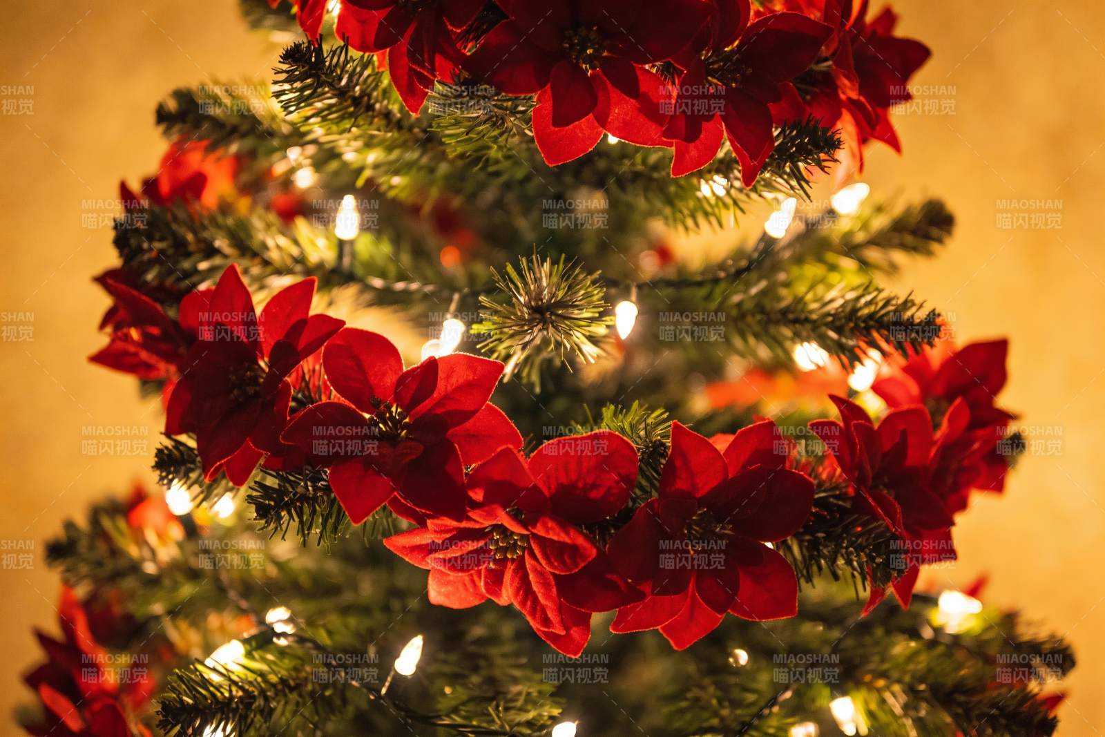 圣诞树上的红色花朵与灯光图片