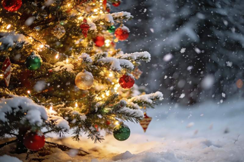 雪夜圣诞树灯光闪烁图片