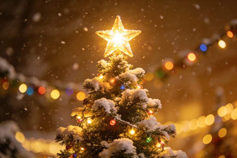 雪夜圣诞树星光闪耀图片