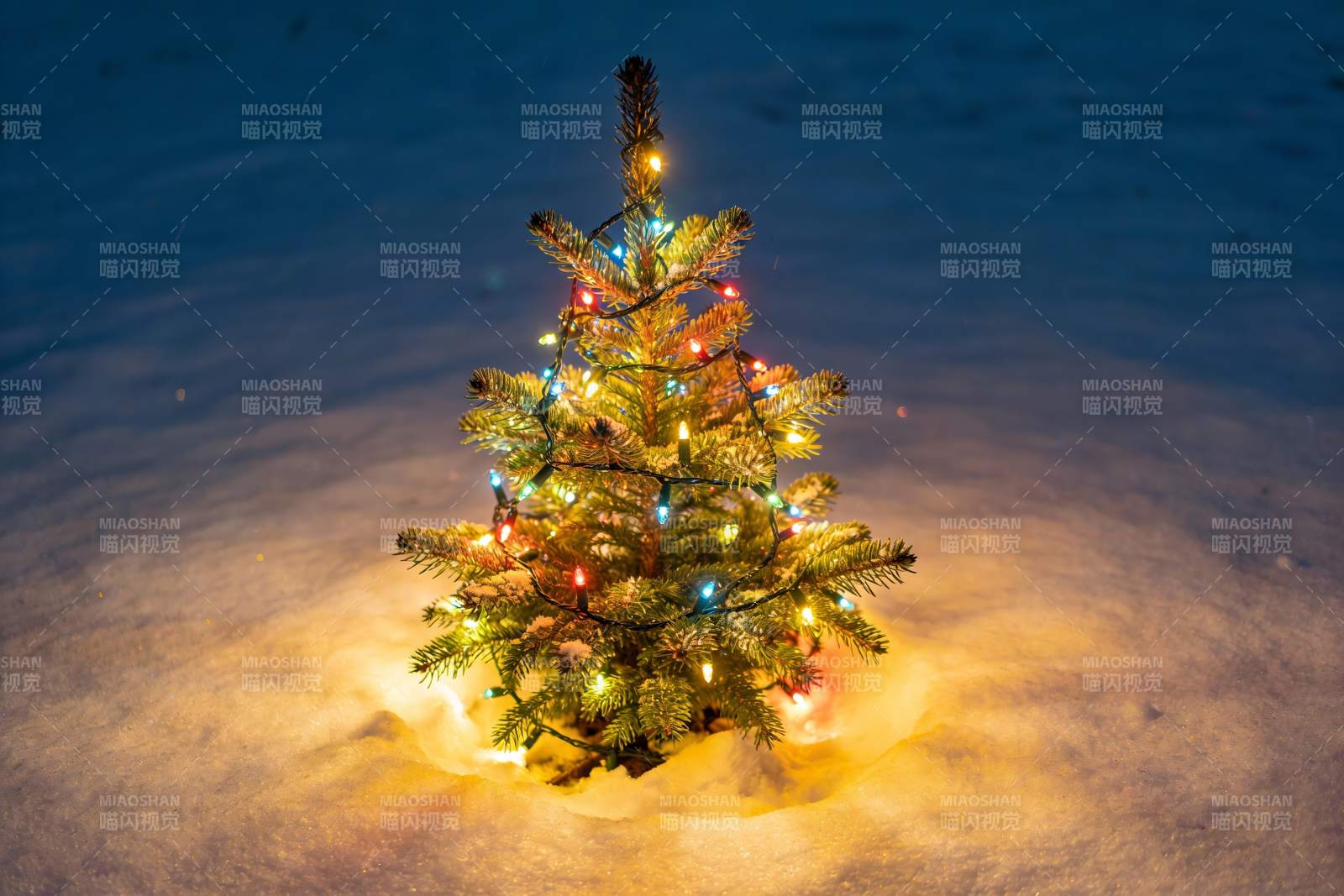 雪地圣诞树灯光闪烁图片