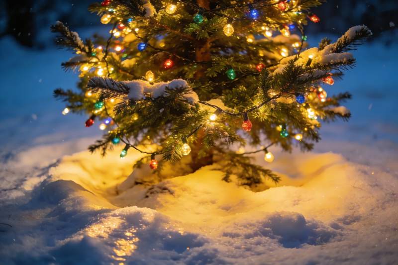 雪夜圣诞树灯光闪烁图片