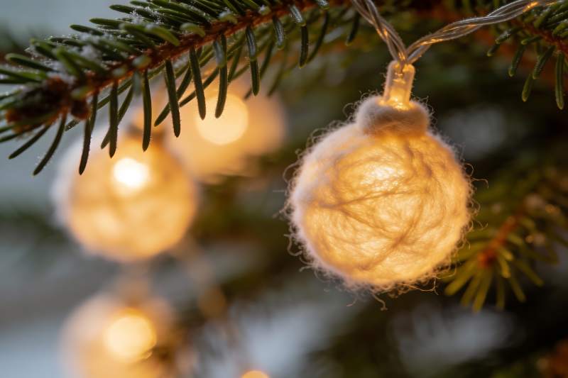 松枝挂灯温暖节日氛围图片