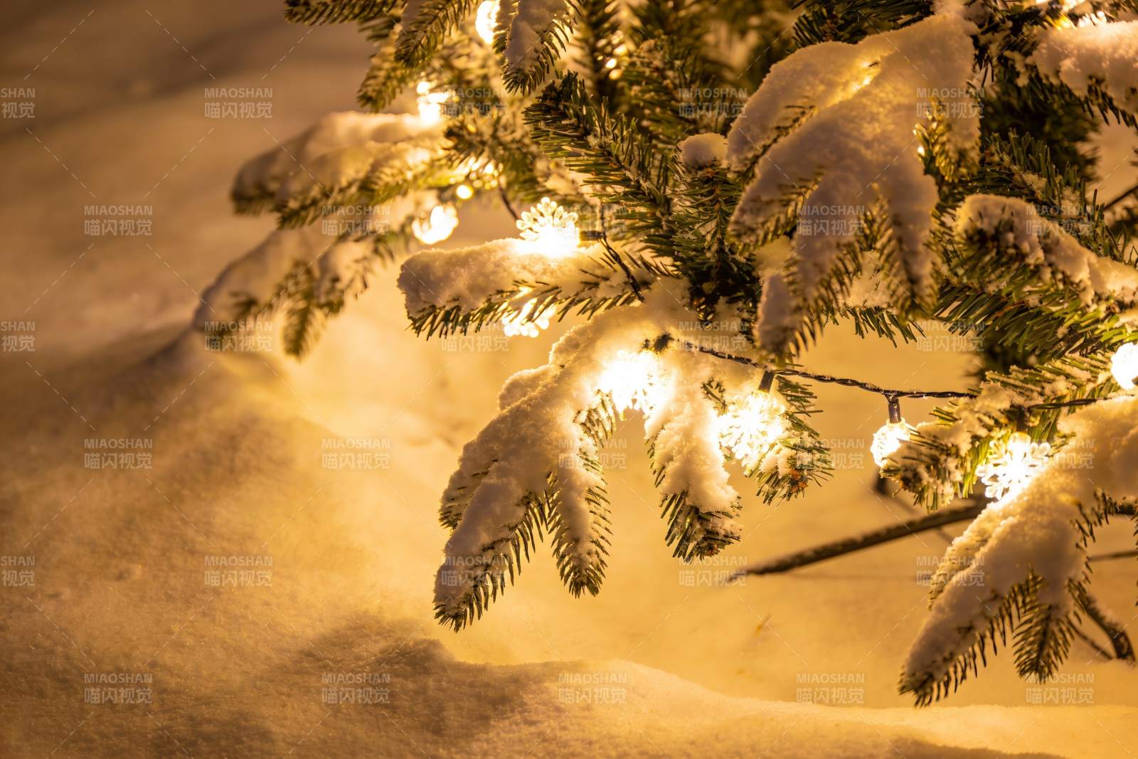 雪夜灯光下的松枝图片