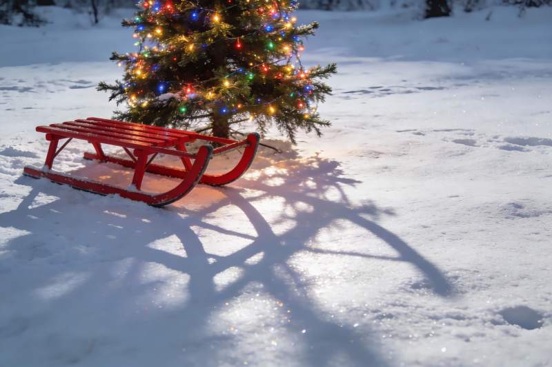 雪地圣诞树旁的红色雪橇图片