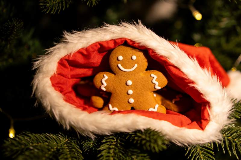 圣诞姜饼人与红帽装饰图片