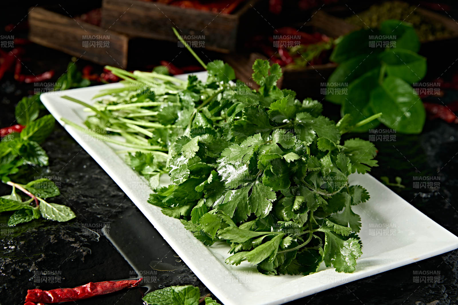 新鲜的火锅食材新鲜香菜图片