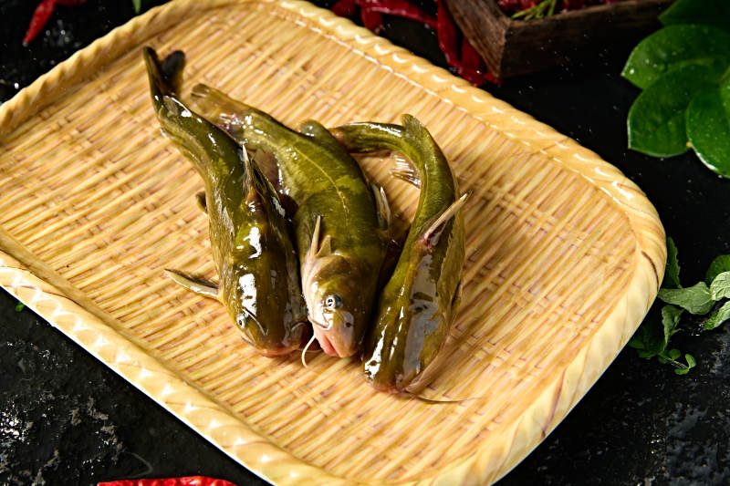 淡水河鲜黄辣丁鱼图片