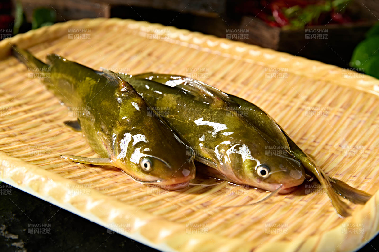 淡水河鲜黄辣丁鱼图片