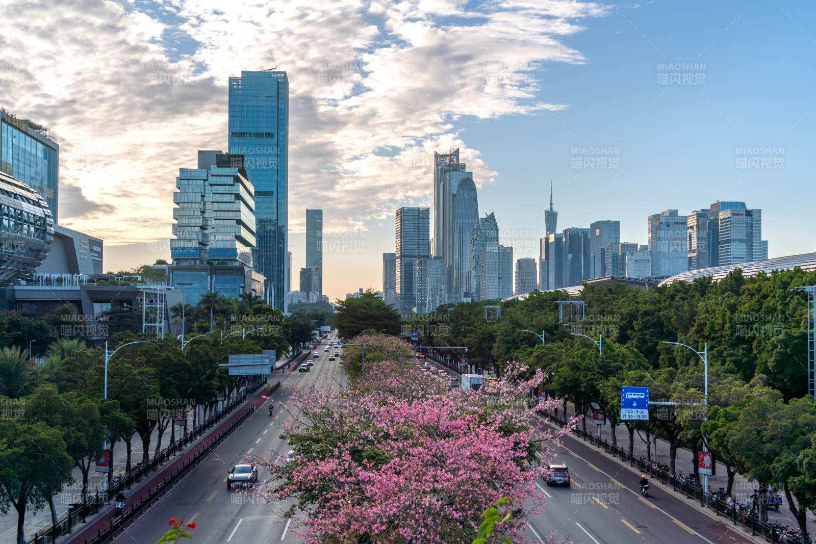 城市春景 花路如画图片