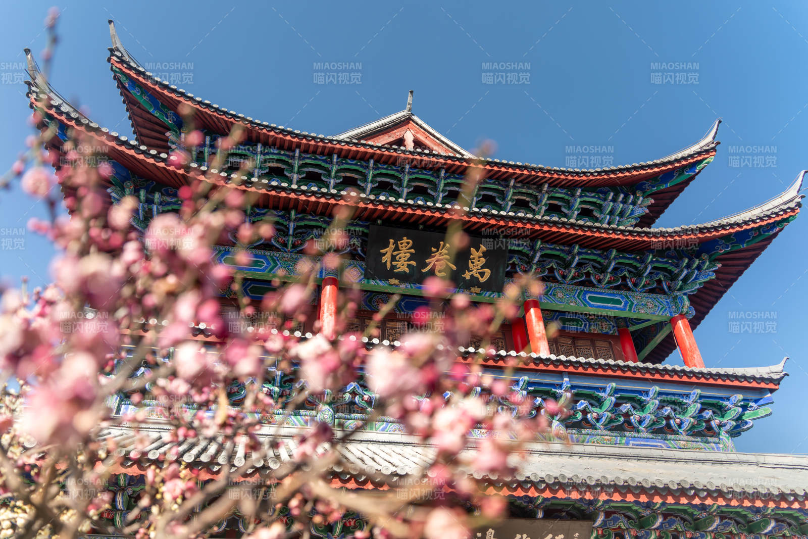 春日古楼梅花绽放图片