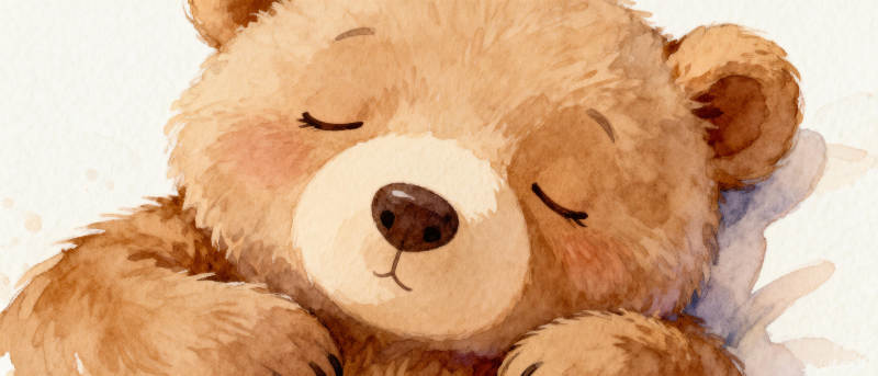 睡梦中的小熊图片