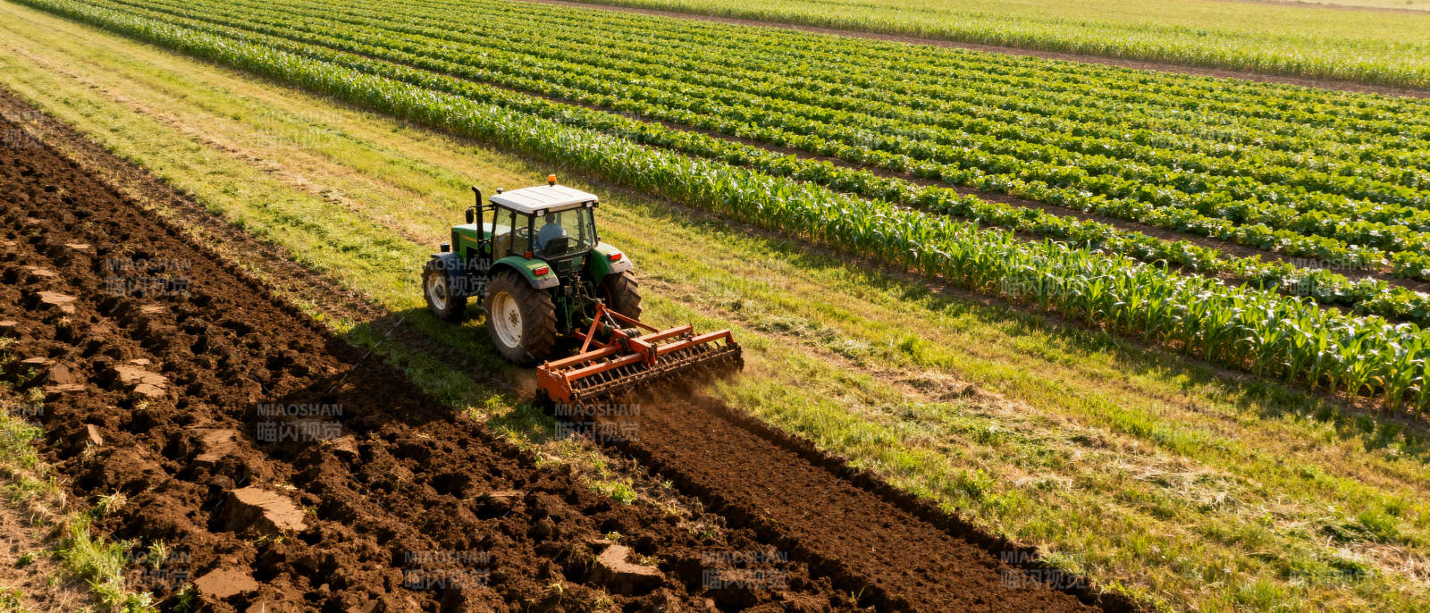 拖拉机耕作农田图片