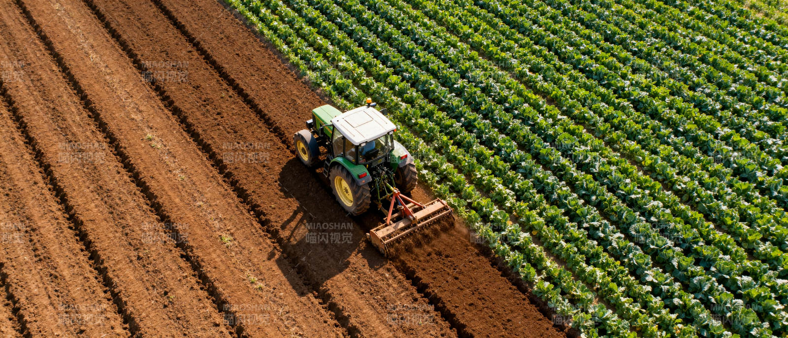 拖拉机耕作农田图片