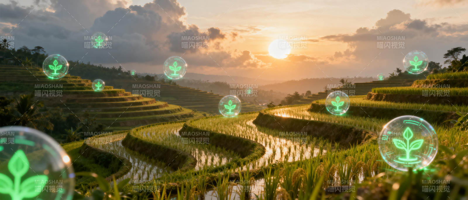 智慧农田 绿意盎然图片