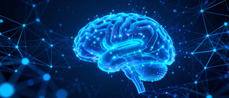 脑神经网络图片
