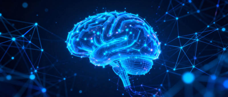 数字大脑网络图片