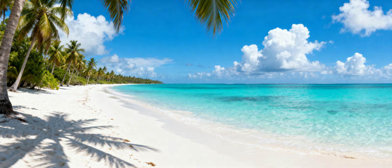 热带海滩风光图片