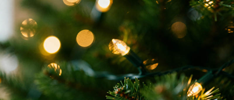 圣诞树上的温暖灯光图片