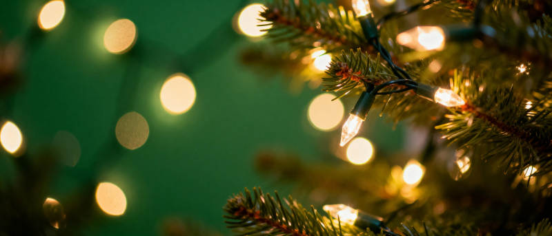 圣诞树上的温暖灯光图片