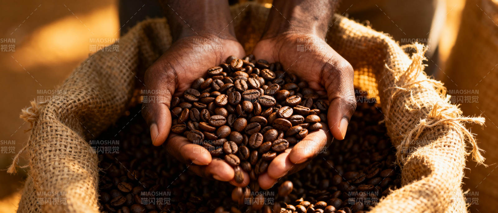 咖啡豆在手中图片