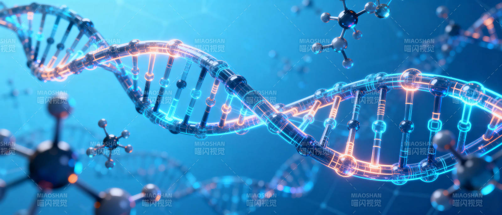 DNA双螺旋结构图片