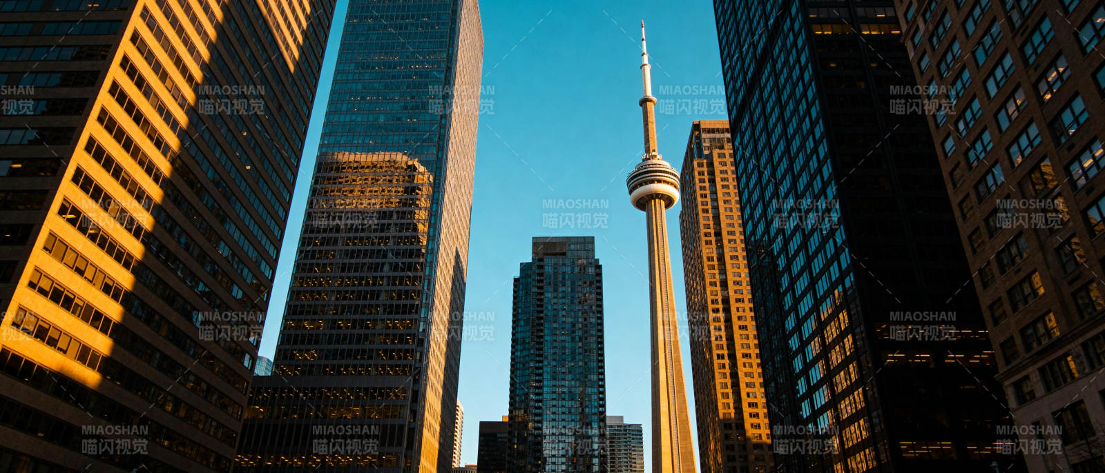 多伦多天际线图片