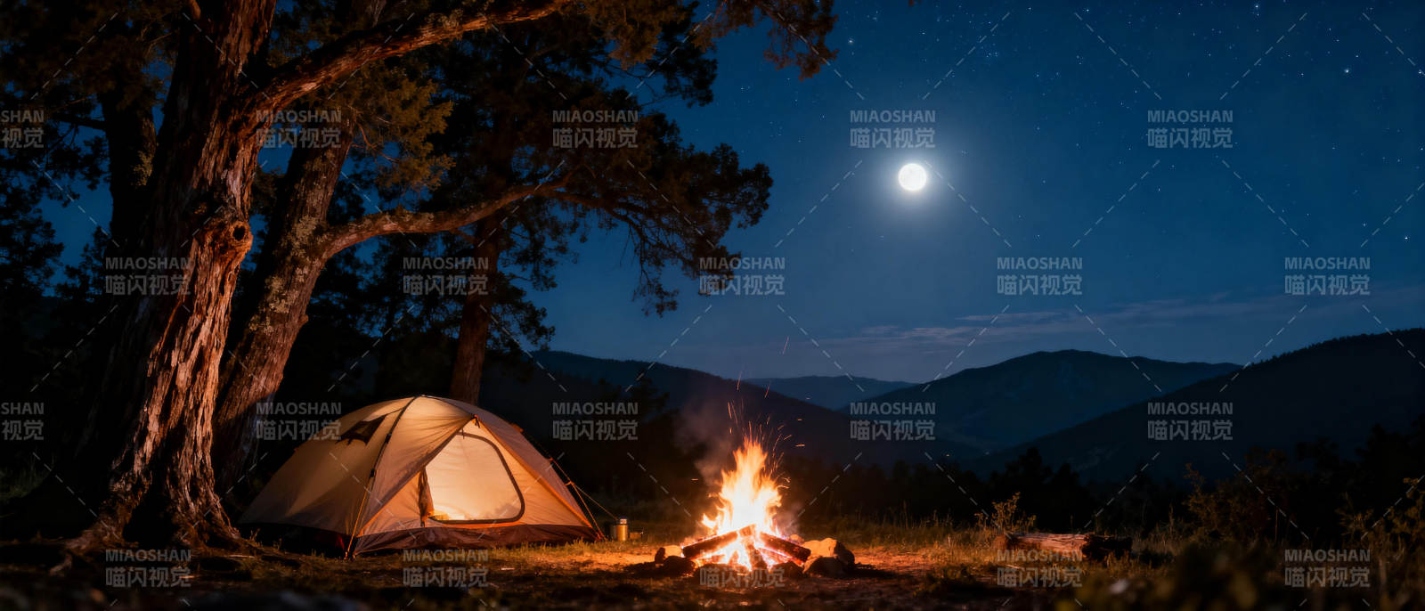 月夜露营 篝火相伴图片