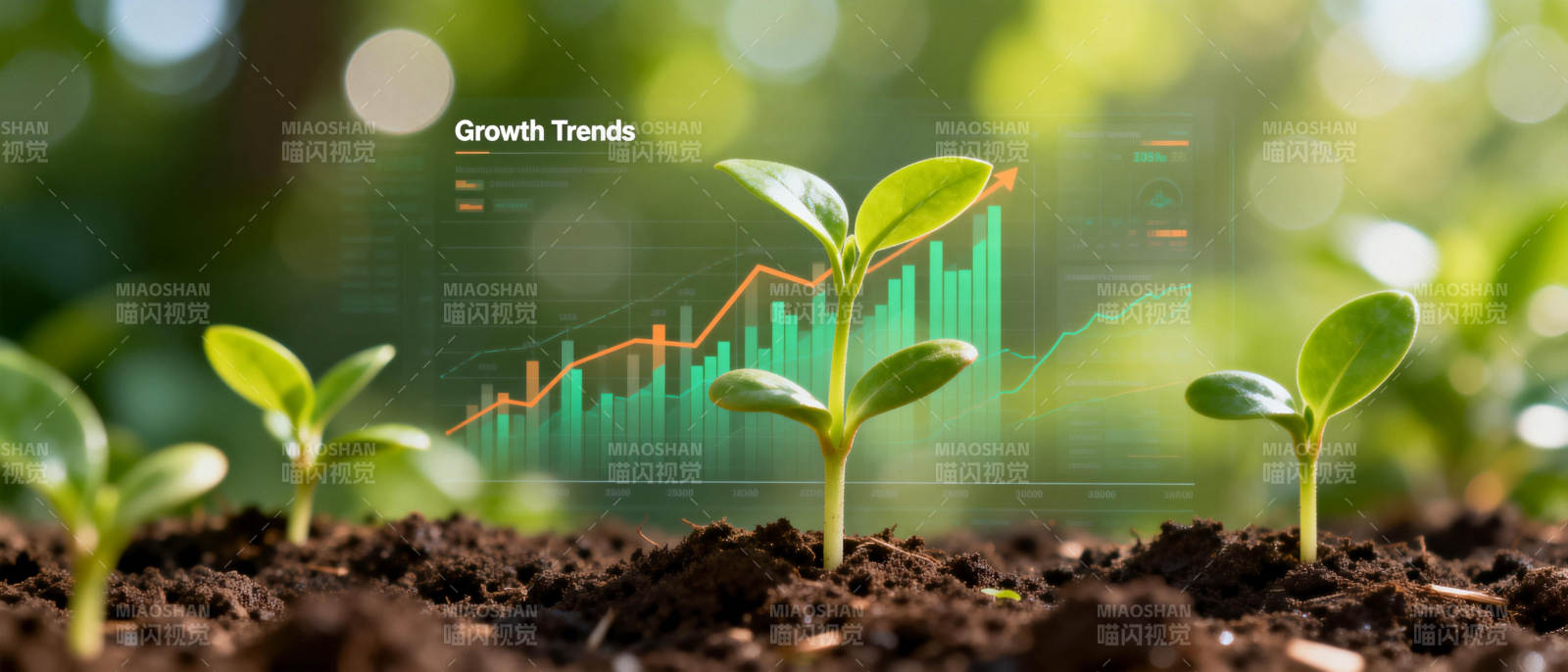 生长趋势图片