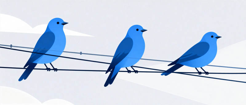 三只蓝鸟栖息电线图片