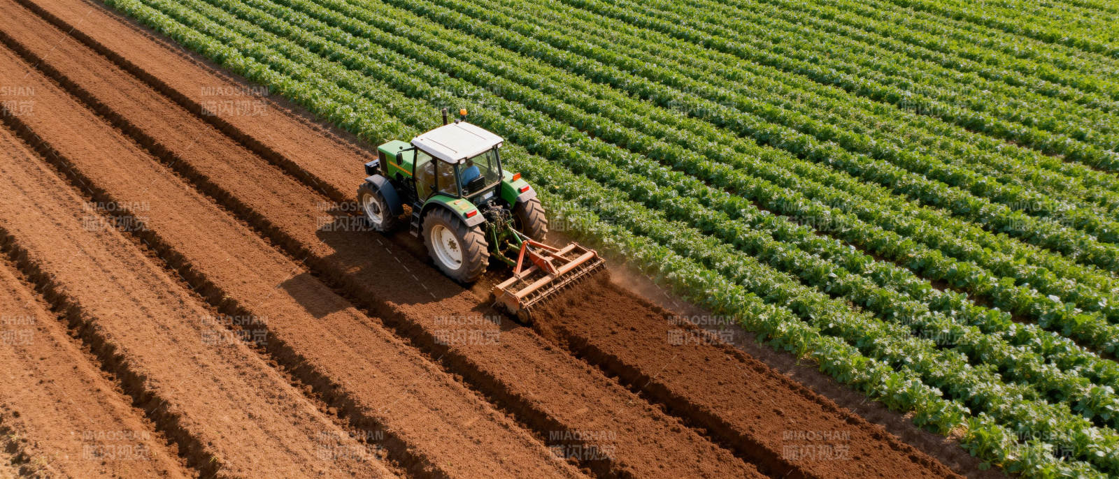 拖拉机耕作农田图片