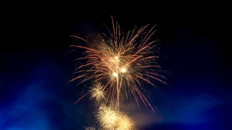 夜空烟花绽放图片