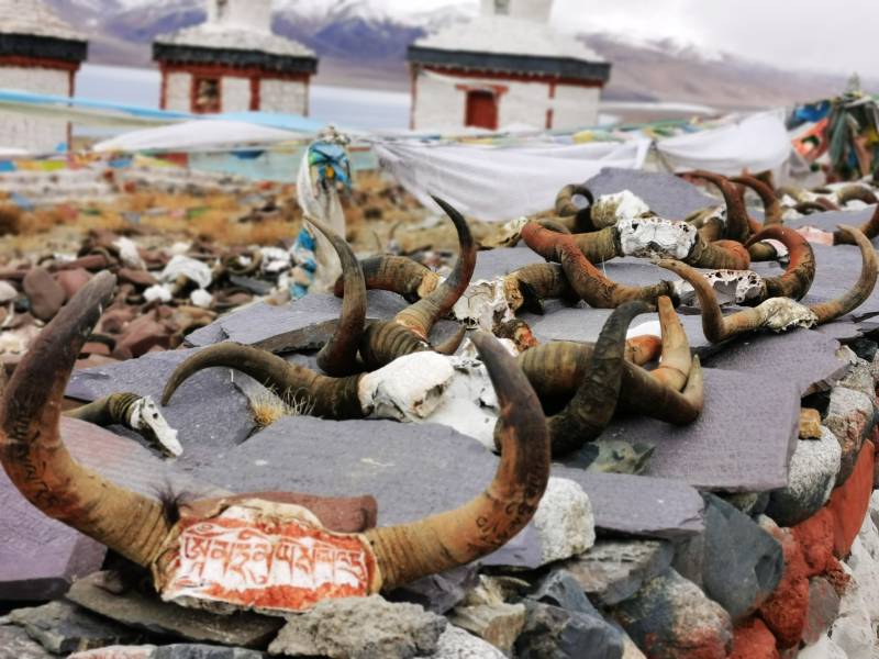 西藏高原牛角祭坛图片