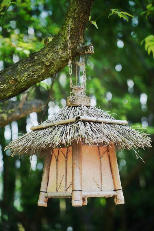 竹灯悬树间图片