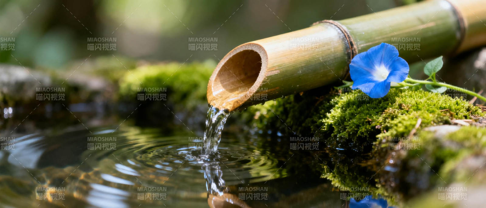 竹流清泉 蓝花相伴图片